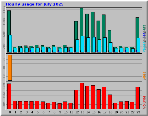 Hourly usage for July 2025 Hourly usage for July 2025